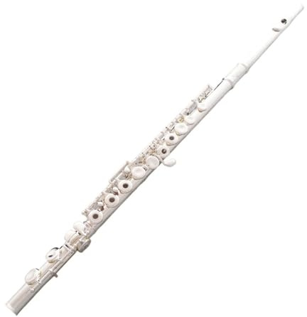 flûte traversière Flûte plaquée argent 16 trous ouverture et fermeture à double usage instrument de musique clé E flûte à jouer