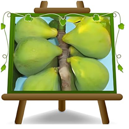 EURO PLANTS VIVAI Fico Gentile - Pianta da Frutto su Vaso da 26 cm - Altezza 180-200 cm - Età 4 Anni