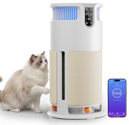 JUMMICO Purificatore d'Aria Intelligente, Depuratore Aria con Filtro HEPA — rimuove il 99,98% di Muffe, Polvere, Polline e Peli Animali. Dotato di Monitoraggio Automatico PM2.5, CADR 350 m³/h