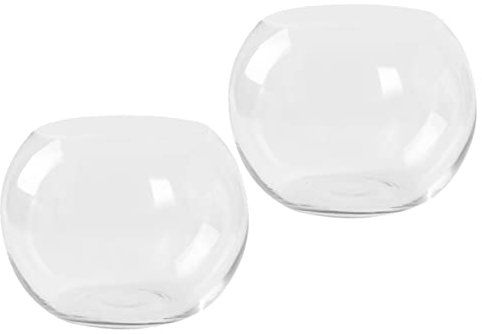 MAGICLULU Hydroponischer Glasvase Für Pflanzen Transparente Blumenvase Kreative Desktop-Dekoration Für Heim Büro Und Hotel Für Hydroponik Und Trockenblumen