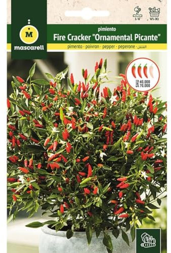 Mascarell Semillas, PIMIENTO, Semillas Huerto, PIMIENTO FIRE CRACKER “ORNAMENTAL PICANTE”, Crea tu Propio Huerto Urbano y Cultivo en Casa, Plantas Hortícolas, 0,3 Gramos