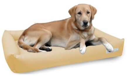 dogsfavorite, Hundebett Starter aus Kunstleder, Hundekissen, Pflegeleicht, 120 x 90 cm, Creme