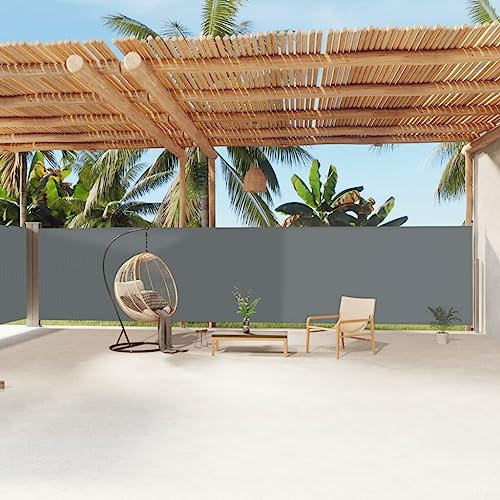 vidaXL Tenda da Sole Laterale Retrattile Antracite 180x1200 cm