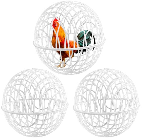 Gabbie di pollo per esterni, gabbia per criceti e polli, forniture per habitat per pollame, per esercizi di protezione delle verdure, pascolo, cortile
