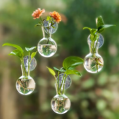 Glasseam Estación de Propagación de Plantas para Ventanas: 4 Jarrones Pequeños con Ventosas para Bulbos y Brotes para Decorar el Salón la Cocina - Macetero Colgante de Cristal para Hidropónicas
