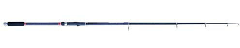 Robinson Karpfenrute Raubfischrute CARBONIC T-Strong 3,3m / 370g / Wg.50-120g