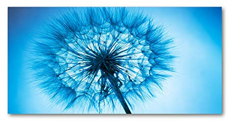 Tulup Leinwandbild - Wandkunst - Drucke auf Leinwand - Leinwanddruck -100x50 cm - Blumen & Pflanzen - Blau - Pusteblume
