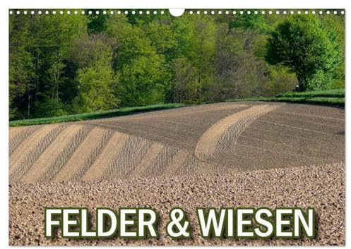 Felder und Wiesen (Wandkalender 2026 DIN A3 quer), CALVENDO Monatskalender: Felder und Wiesen, ländliche Idylle (CALVENDO Natur)