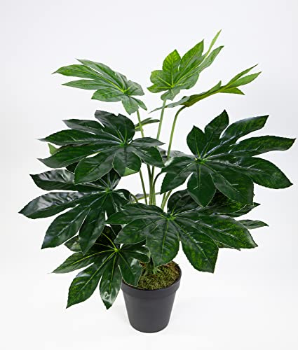 Seidenblumen Roß Aralie Real Touch 50cm grün im Topf ZJ Kunstpflanzen künstliche Pflanzen Aralienpflanze