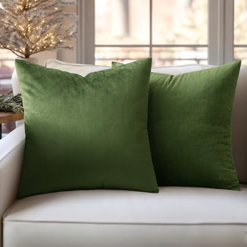 Slozzi 2er Set Samt Kissenbezüge 40x40 Matcha Grün Dekokissen Sofakissen | Haushalt Dekorative Kissenhülle Weich für Sofa Schlafzimmer Wohnzimmer