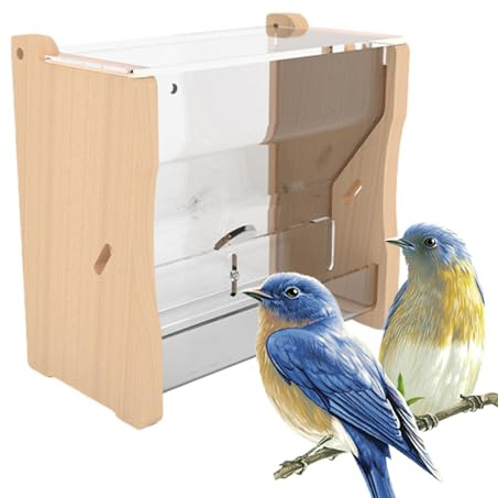Nourriture pour Poulets - pour Poulets de caille - d'alimentation en Eau pour Oiseaux - Distributeur d'eau - Accessoire pour cailles, Poules, etc.