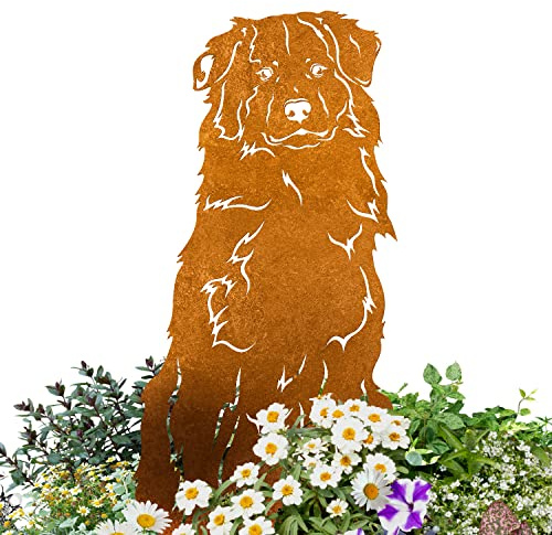 Terma Stahldesign Australian Shepherd Gartenfigur Metall – Edelrost Hund Rostfigur für Gartendeko außen – Massive Hundefigur – Handmade in Germanyo