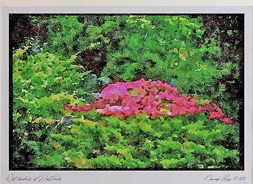 Wild Flowers Plants 013030 - Pink Azalea Bush Watercolour Picture Limited Edition A4