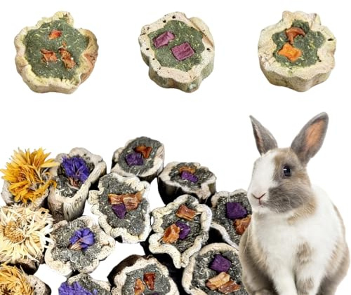 Kaninchen Spielzeug für Zähne,Kaninchen Papaya Holz Snack Zahnpflege Molar für Kaninchen, Meerschweinchen, Hamster, Chinchilla, Zwergkaninchen (100g)