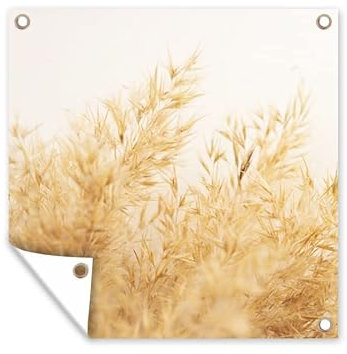 MuchoWow Poster exterieur Herbe de la pampa - Soleil - Herbe Decoration murale 50x50 cm Résistant aux intempéries/soleil