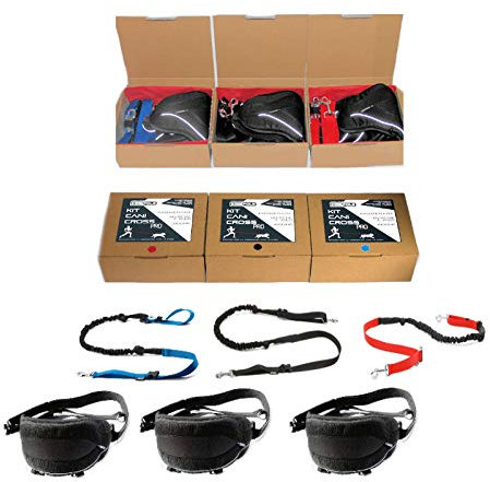 Cat-or-dog.boutique Profi-Set für Canicross: Komfort-Gürtel Pro + ausziehbare Leine