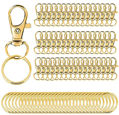 Qwertfeet 100 STÜCKE Schwenken VerschlüSse SchlüSselband Karabiner mit SchlüSsel Ringen, SchlüSsel AnhäNger Clip Karabiner für Schmuck Mach Es Selbst