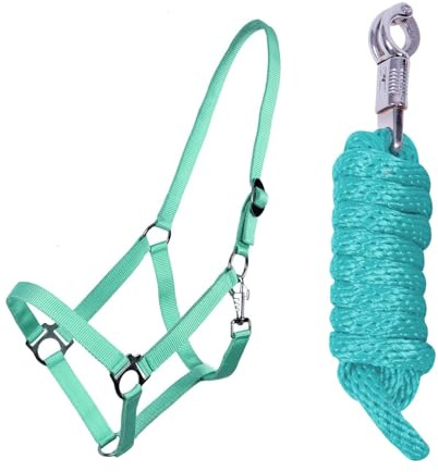 ARBO-INOX Halfter-Set Beginner II Halfter + Führstrick mit Panikhaken verstellbar (Pony, TÜRKIS)