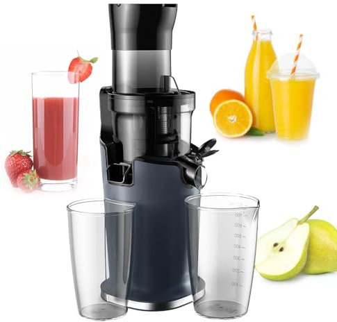 pealiritansemen Extracteur De Jus À Pression À Froid, Machine À Mastication Lente À Vis Unique avec Tasse À Jus De 800 ML Et Tasse À Marc De 600 ML, pour Fruits Et Légumes, Rendement en Jus Élevé