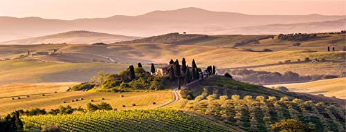 artissimo Bild aus Glas 80x30 cm Toskana-Landschaft AG3923A – Wandbild Italien, Panorama Glasbild Querformat, mediterrane Wanddeko Wohnzimmer