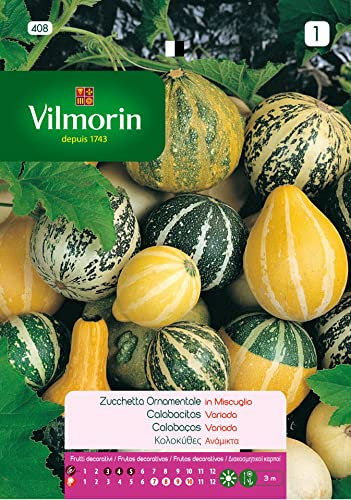 Semi Di Zucchine Assortite Fiori S-1,3 Gr