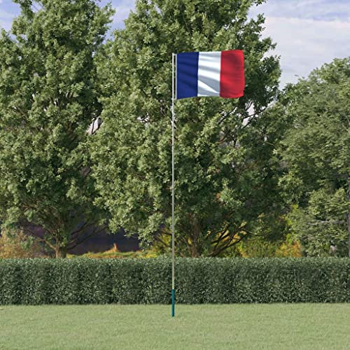Decor-France Fahne und Stange 5,55 m Aluminium - Haus & Garten