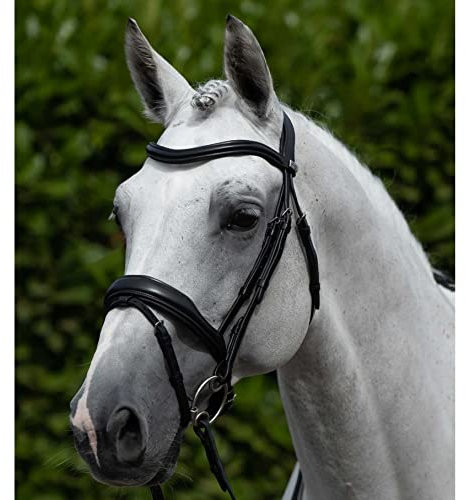 Premier Equine Stirnband für Pferd Glattleder Liscio