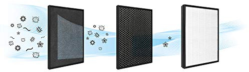 Taurus Filtro AP2050 High Landscapes - Filtro recambio de carbón activo, HEPA13, para purificador AP2050 High Landscapes, filtraje del 99,95%, tiempo de uso de 3000 horas, extraíble, sin mantenimiento
