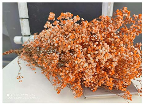 WXJ Fleurs séchées Fleurs séchées Conservé Frais Naturel Gypsophila paniculata, gypsophile Fleur Bouquets Cadeau for Décoration Mariage, Maison Decorecor (Couleur : Orange, Taille : 40 55cm (80g))