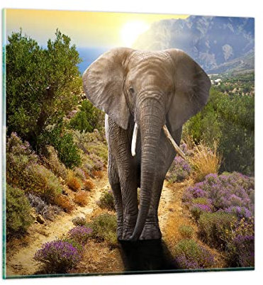 Bilder auf Glas Tiere Afrika Elefanten Spaziergang Glasbild 30x30cm Wandbilder Dekoration Wohnzimmer Schlafzimmer Küche Deko Klein Wanddeko Bild im Glas Wand Kunstdruck Art Modern GAC30x30-2708