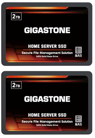 Gigastone Home NAS SSD 2TB (2er-Pack) 24/7 Dauerhaft TLC Hohe Dauerhaltbarkeit Persönlicher Server Cloud Datenspeicher RAID 3D NAND 2,5 Zoll SATA III Interne Solid State Festplatten