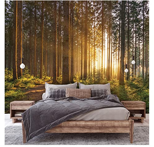 WallArena - Vlies Fototapete Wald 350x245 cm - Fototapeten - Tapeten - für Wohnzimmer Schlafzimmer - Vliestapete Wandtapete Tapete 3D Effekt- inkl. Kleister - Sonnenuntergang