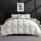 APSMILE Couette 220x240 4 Saisons Duvet et Plumes, Couette Duvet 2 Personne de Coton Égyptien Doux, Edredon Gonflante pour Les Personnes allergiques, Ökotex & RDS