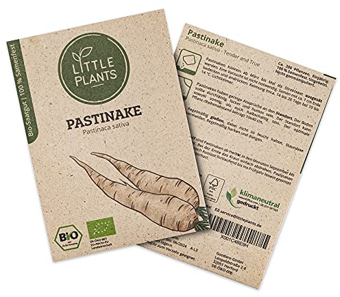 Little Plants BIO Pastinake Samen, 200 Pastinakensamen, hohe Keimrate, 100% Natürlich, BIO Samen Pastinake für Gemüsegarten, Gemüsebeet Hochbeet – BIO Gemüsesamen Saatgut Nachhaltig