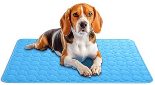 AEYAKA Kühlmatte für Hund Kühlkissen Haustier Trainingspads Waschbares Matte für Hunde und Katze, rutschfest & Vielseitig Einsetzbar für Zuhause, Unterwegs & im Auto Blau 70 x 55 cm