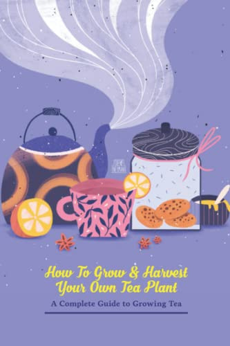 How to Grow & Harvest your own Tea Plant : A Complete Guide to Growing Tea