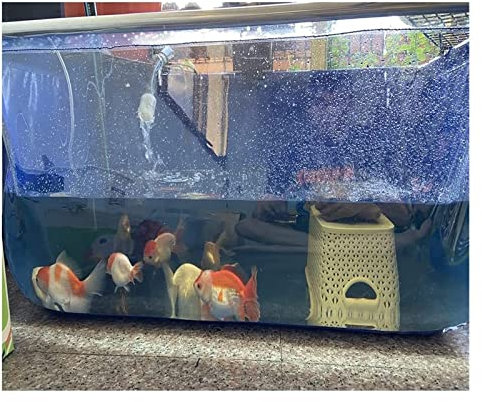 Generisch PVC-Plane mit Stahlrahmen für Fischteiche, Outdoor-Aquarium, Poolteich mit transparenter Sichtscheibe und Ablassventil, Würfel-Display, Show-Wassertank, Fischteich-Plane
