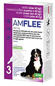 Amflee Spot On Floh- und Zeckenmittel für Hunde über 40 kg (XL), 3 Einzeldosis-Pipetten mit 402 mg Fipronil, Lösung zum Auftropfen