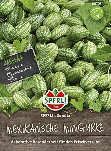 Sperli 80705 Mexikanische Minigurke Sandia (Gurkensamen)