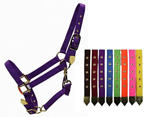 EE Tack Deluxe Halfter - 2-Fach verstellbar - Brass Snap - 8 versch. Farben - Gr. M (hot pink-Raspberry)