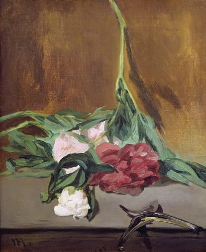 ZhiChengHflBM Vintage Painting Wall Art Poster Artwork Print Stem of Peonies and Secateurs by Edouard Manet Famous Paintings Replicas for Home Decor 60x90cm