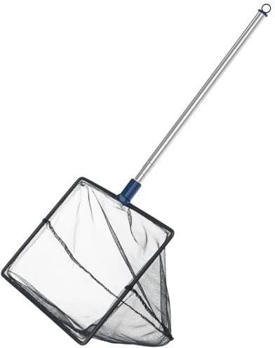 Pawfly Rete Per Pesci D'acquario Con Manico Telescopico In Acciaio Inox 20 Cm Grande Rete Quadrata A Maglie Fini Morbide Fanghi Residui Alimentari Rifiuti