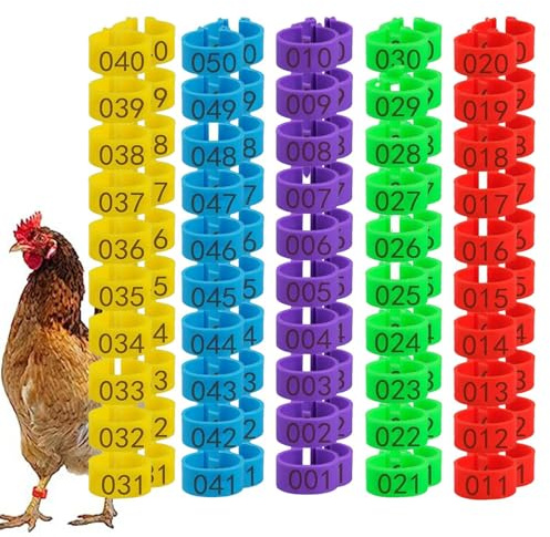 50 /100Stk Geflügel Fußringe - Hähnchenschenkelbänder Geflügelschenkelringe, HähnchenBeinringe Mehrfarbige Hähnchen Identifikation Beinbänder, Taubenringe, Für Hühner, Gänse, Enten Und Bauernhof 16mm