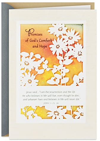 Hallmark DaySpring Religious Sympathy Card (God's Comfort and Hope)