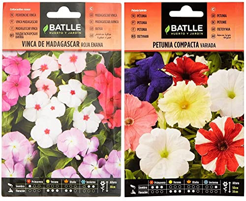 Semillas Batlle - Semi di Vinca di Madagascar Rossa Nana, Confezione da 40 g & Petunia Compacta VARIADA, Multicolore