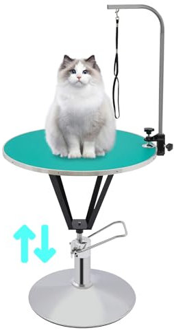 Haustierpflegetisch, Trimmtisch für Katzen Und Hunde mit Hydraulisch Anhebbarer Höhenverstellbar 75-85cm Tierpflegetisch Hundefriseur Tisch Hunde Badetisch Hund Schertisch Tragfähigkeit 100kg