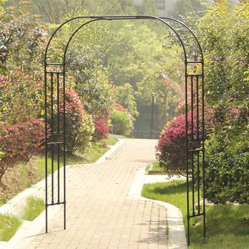 Pergola en métal pour plantes grimpantes - Décoration extérieure pour rehausser votre jardin, parfaite pour les vignes, les fleurs et les allées de jardin