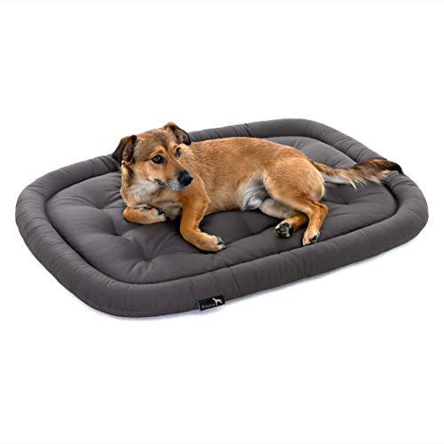 Pointer | Orthopädisches Hundekissen Grosse Hunde, 105x80 cm - Hundebett Waschbar bis 95°C, Geruchsfrei, Robust, Indoor & Outdoor, Made in Germany (XL - 105x80 cm, Anthrazit)