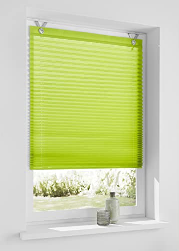 Raffrollo Ösenrollo Plissee Olbia Weiss, grün, grau Breite 40/50/60/70/80/100 x Höhe 125/210 cm (ca- 50 * 125 cm, grün)