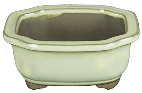 Rechteckige japanische Bonsaischale Morrisan aus weiss glasiertem Steinzeug 15x12x6 cm - B05-10a